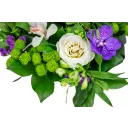 Kytice fialových květů